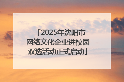 2025年沈阳市网络文化企业进校园双选活动正式启动