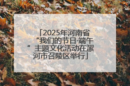 2025年河南省“我们的节日·端午”主题文化活动在漯河市召陵区举行