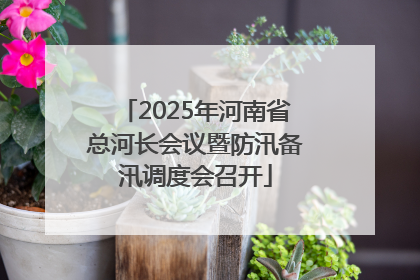 2025年河南省总河长会议暨防汛备汛调度会召开