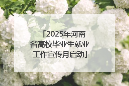 2025年河南省高校毕业生就业工作宣传月启动
