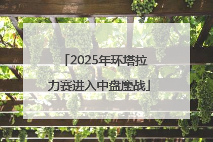 2025年环塔拉力赛进入中盘鏖战
