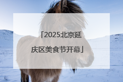 2025北京延庆区美食节开幕