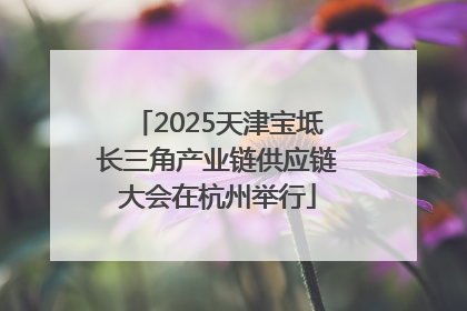 2025天津宝坻长三角产业链供应链大会在杭州举行