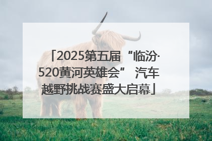 2025第五届“临汾·520黄河英雄会” 汽车越野挑战赛盛大启幕