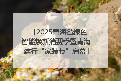2025青海省绿色智能焕新消费季暨青海建行“家装节”启幕
