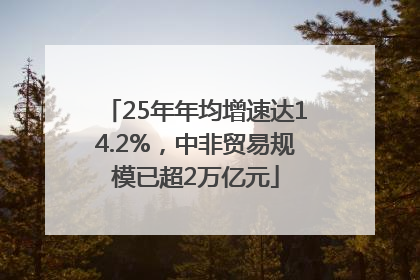 25年年均增速达14.2%，中非贸易规模已超2万亿元