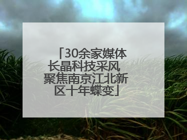 30余家媒体长晶科技采风 聚焦南京江北新区十年蝶变
