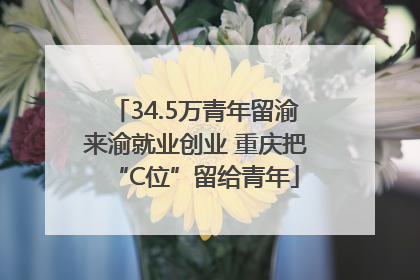 34.5万青年留渝来渝就业创业 重庆把“C位”留给青年