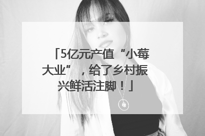 5亿元产值“小莓大业”，给了乡村振兴鲜活注脚！