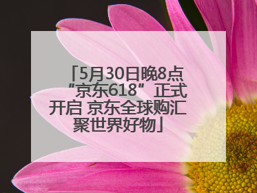 5月30日晚8点“京东618”正式开启 京东全球购汇聚世界好物