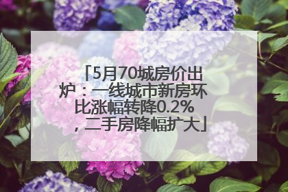 5月70城房价出炉：一线城市新房环比涨幅转降0.2%，二手房降幅扩大