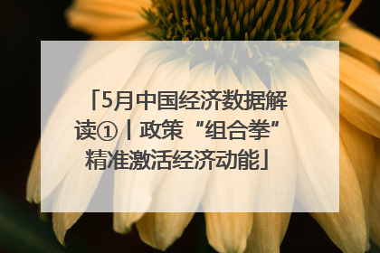 5月中国经济数据解读①丨政策“组合拳”精准激活经济动能
