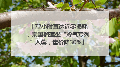 72小时直达近零损耗，泰国榴莲坐“冷气专列”入蓉，售价降30%