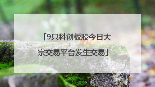 9只科创板股今日大宗交易平台发生交易