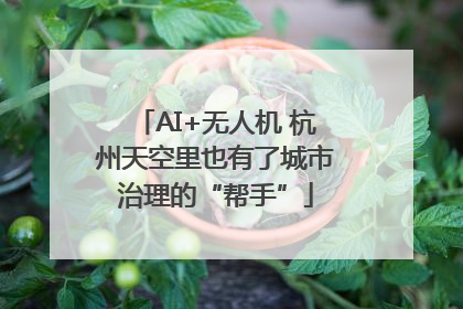 AI+无人机 杭州天空里也有了城市治理的“帮手”