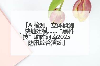 AI检测、立体侦测、快速建模……“黑科技”助阵河南2025防汛综合演练