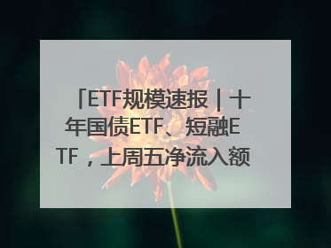 ETF规模速报｜十年国债ETF、短融ETF，上周五净流入额均超20亿元