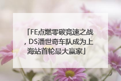 FE点燃零碳竞速之战，DS潘世奇车队成为上海站首轮最大赢家