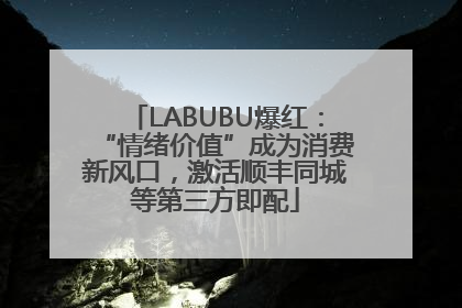 LABUBU爆红：“情绪价值”成为消费新风口，激活顺丰同城等第三方即配