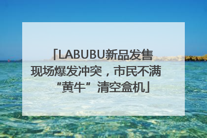 LABUBU新品发售现场爆发冲突，市民不满“黄牛”清空盒机