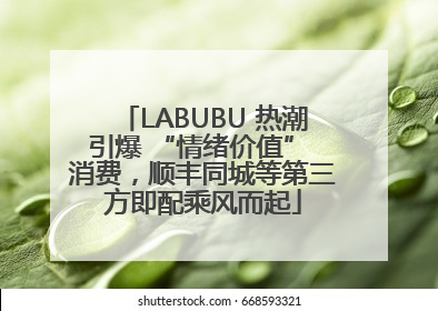 LABUBU 热潮引爆 “情绪价值” 消费，顺丰同城等第三方即配乘风而起
