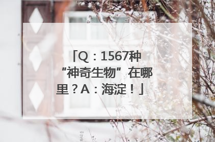 Q：1567种“神奇生物”在哪里？A：海淀！